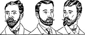 Vector graphics of three men with mustaches