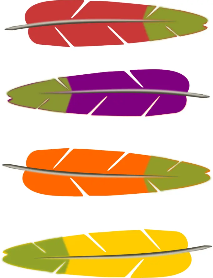 Colored feathers vector graphics