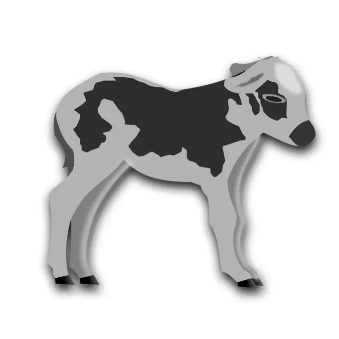 Calf grayscale vector graphics
