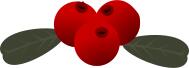 Lingonberry vector image