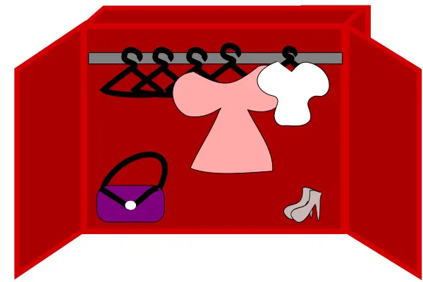 Ladies cartoon closet vector image