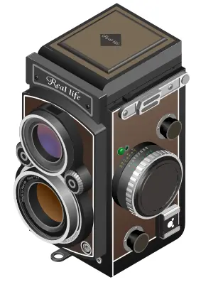 Vector image of twin-lens reflex camera