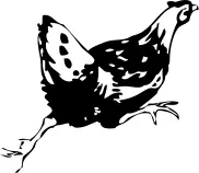 Vector image of escaping hen