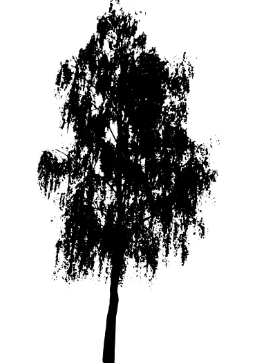 Tree silhouette vector image