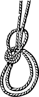 Bowline on the bight marine knot vector drawing