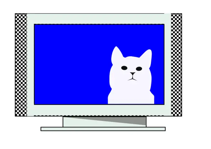 Cat on TV vector image