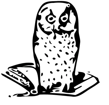 Owl on book vector image