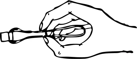 Sugar cube serving vector image