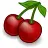Cherries vector illustration