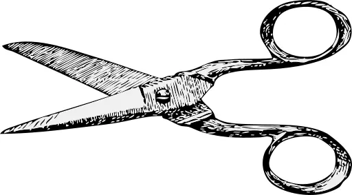Scissors vector image