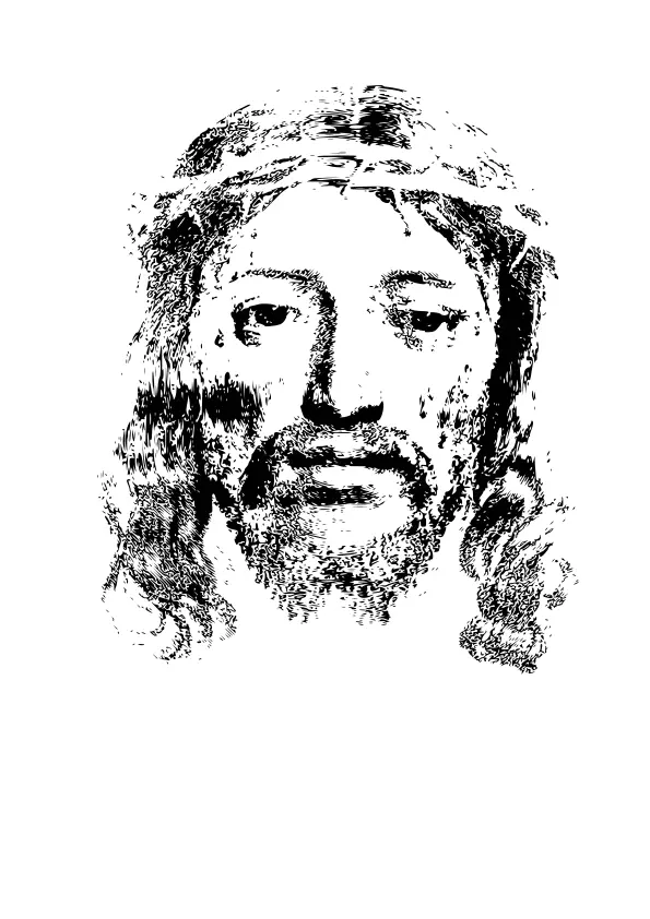Sudarium of Saint Veronica vector image