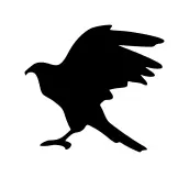 Eagle silhouette clip art