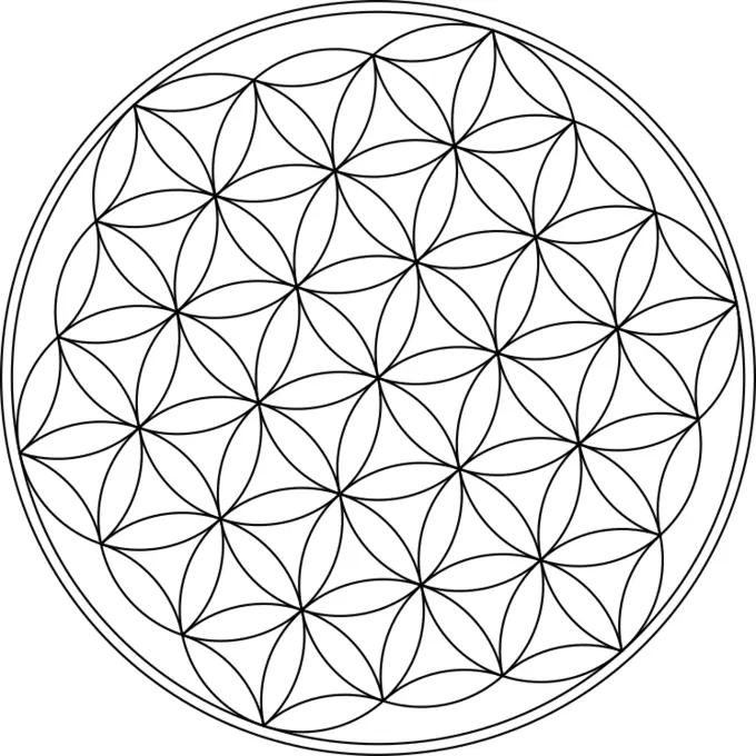 Flower of life symbol vector image