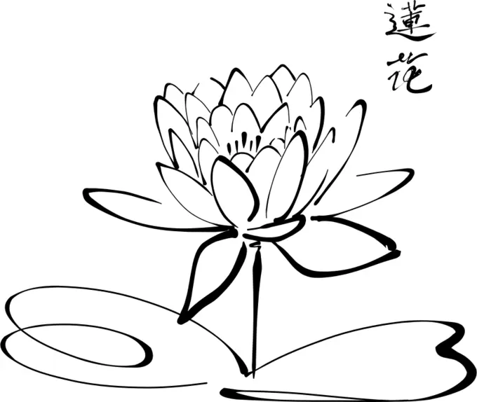 Lotus calligraphy vector image