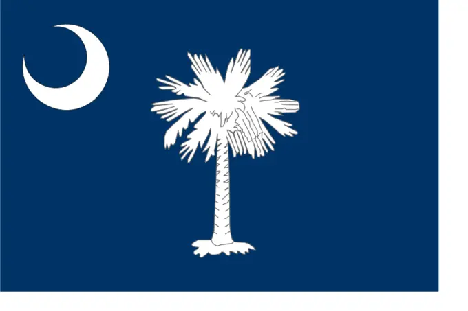 Vector flag of South Carolina