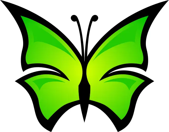 Butterfly vector illustration