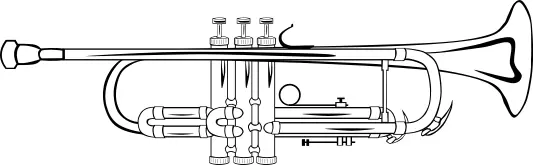 Vector illustration of trumpet