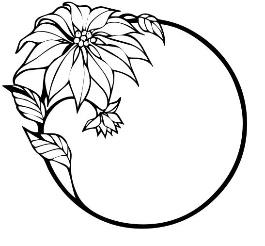Christmas flower outline vector