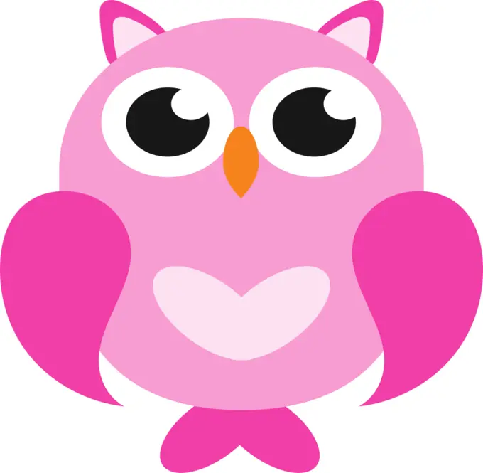 Pink owl