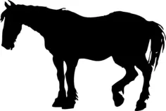horse silhouette