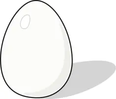 Whiter Egg