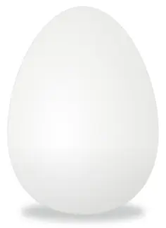 Egg