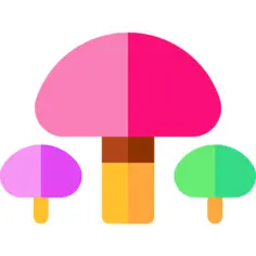 Mushroom