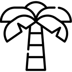 棕榈树