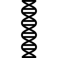 DNA