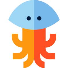 Jellyfish