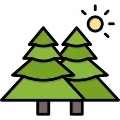 松树