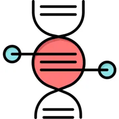 脱氧核糖核酸