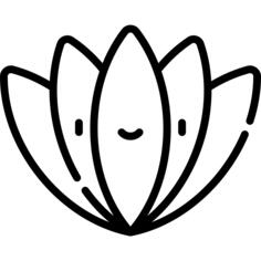 龙舌兰