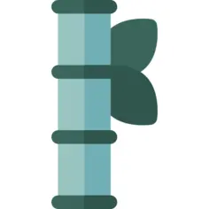 Asian