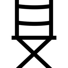 Director chair