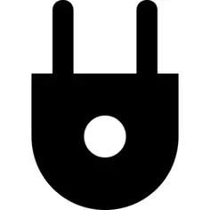 Plug