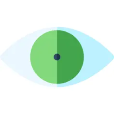 Sight