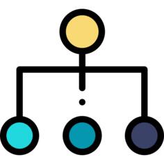 Organization