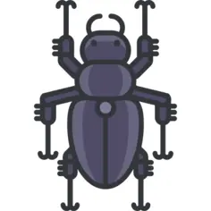 甲虫