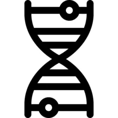 Dna