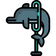 Dolphin