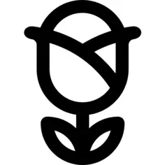 玫瑰