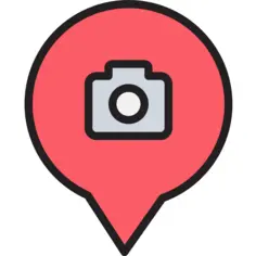 Pin