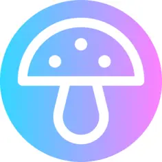 蘑菇