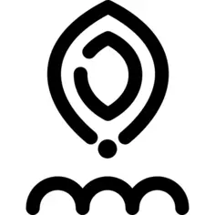 Seed