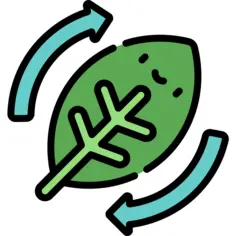 叶