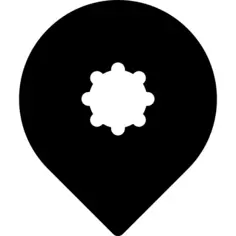 Pin
