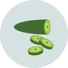 Cucumber