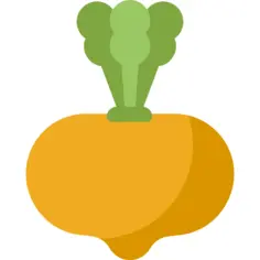 Turnip