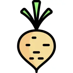 Turnip